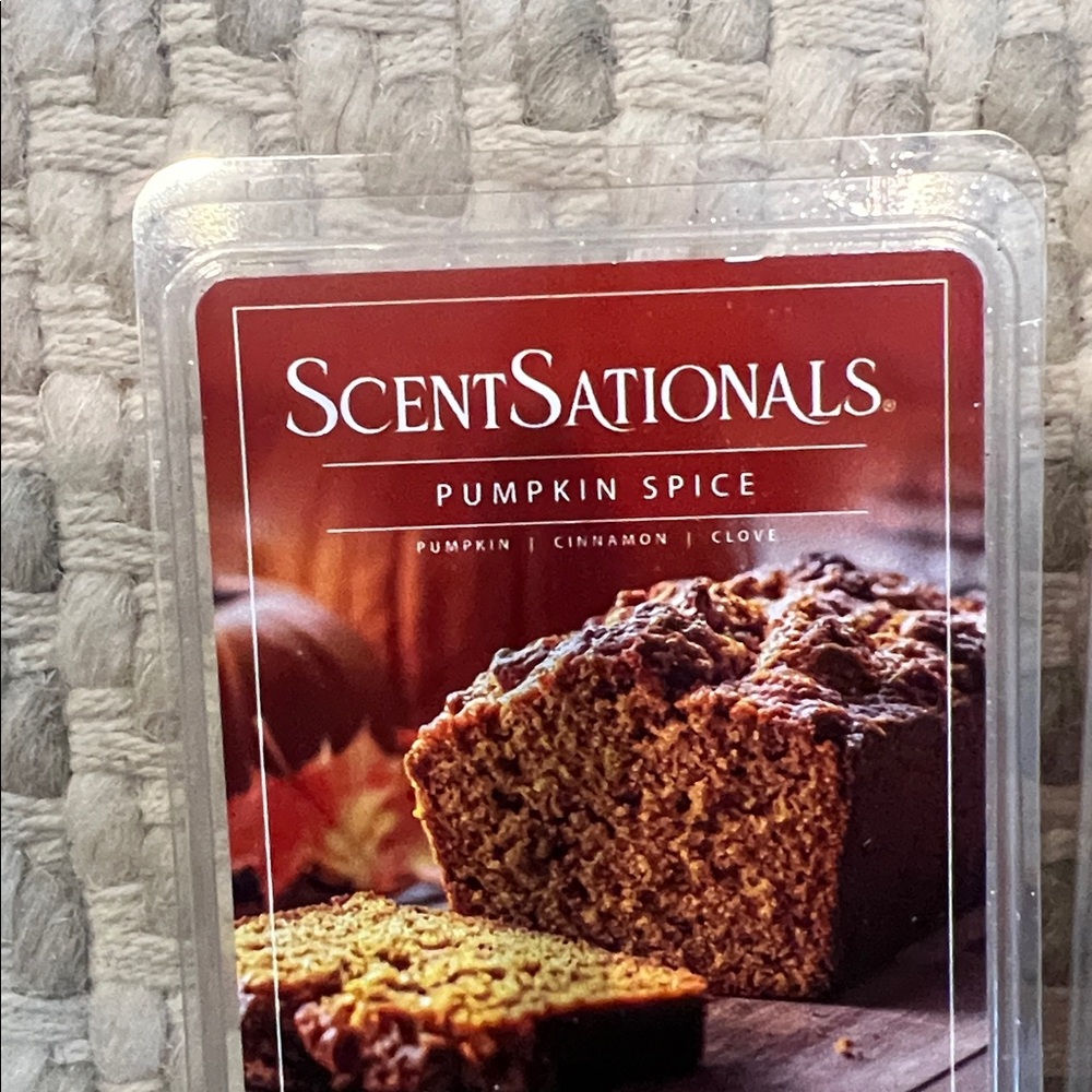 18 New fall scentsationals wax cubes melts pumpkin apple spice cinnamon - Picture 7 of 8
